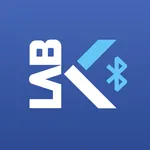 Kondrashov.Key icon