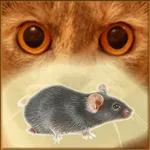 Mouse on the Screen for a Cat icon