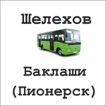 Расписание автобуса №101 Шелех icon