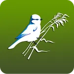 Птицы Поволжья icon