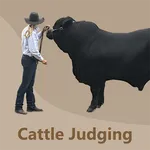 Cattle Judging icon