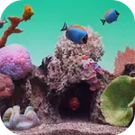 Seawater Aquarium Video Wallpa icon