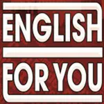 Sec English For You icon