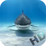 Sharks Video Live Wallpaper icon