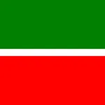 Русско-татарский разговорник icon