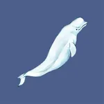 DS Dolphin Surface icon