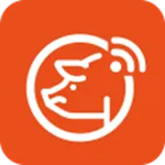 Smartsafe Link icon