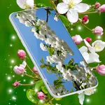 Cherry Blossom Live Wallpaper icon