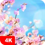 Spring Wallpapers 4K icon