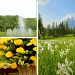 Photo editor effects software icon