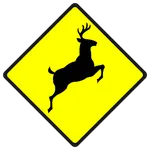 Ehliyet Sınav Soruları 2026 icon