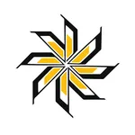 ВДОМЕ24 Москва icon