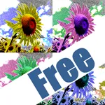 Art Serigraphy Free-Art Filter icon