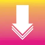 Video Downloader - Story Saver icon