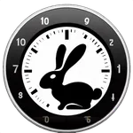 Slightly Subjective Stopwatch icon