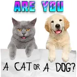 Test what cat or dog am I? Ani icon