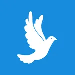 Election Dashboard icon