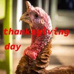 thanksgiving day dinner icon