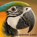Learn Japanese Kanji-Vocabular icon