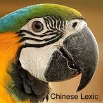Learn Chinese Hànzì-Vocabulary icon