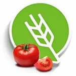 Tomato Cultivation icon