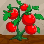 Idle Tomato Factory Tycoon icon