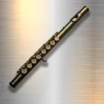 Professional Flute icon