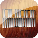 Professional Xylophone icon