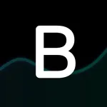 Borsistan icon