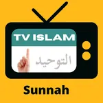 TV Islam Indonesia and Radio D icon
