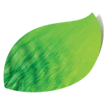 Mobile BPh icon