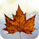 Canada Citizenship: Test icon