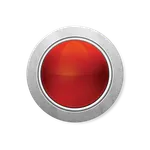 Red Panic Button icon