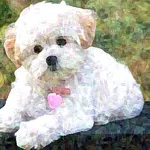 Ultimate Pet Dog Handbook icon