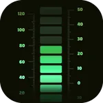 Accurate thermometer icon