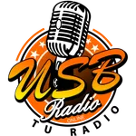 Usb Radio icon