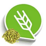 वेलदोडा लागवड #Agrownet™ icon
