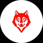 Video Viral icon