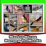 Kumpulan Suara Burung Master icon