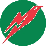 FalconEye icon
