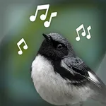 Bird Sounds icon