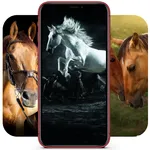 Horse Wallpapers HD | Horses icon