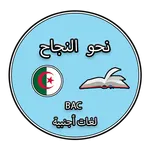 نحو النجاح - لغات أجنبية icon