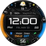 RealTex Premium Watch Face icon