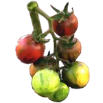 Green Engine icon