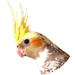 Green Wing icon