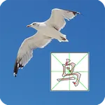 Write Chinese icon