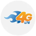 4G Only Network Mode icon