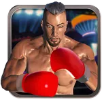 Real 3D Boxing Punch icon