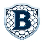 B SHIELD NET icon